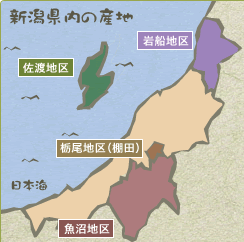 �V���Ă̎Y�n